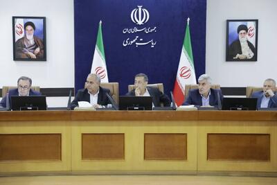  قائم‌پناه: ظرف ۲ هفته برنامه عملیاتی تشکیل هلدینگ «مس سونگون» تدوین شود