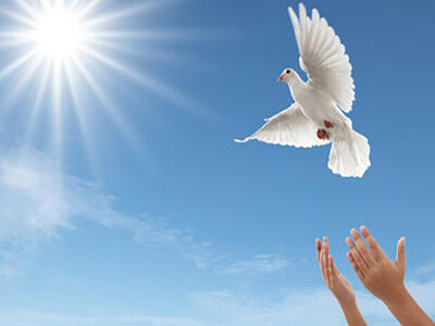  آزادی زندانی با ۵۲ میلیارد ریال بدهی در قزوین