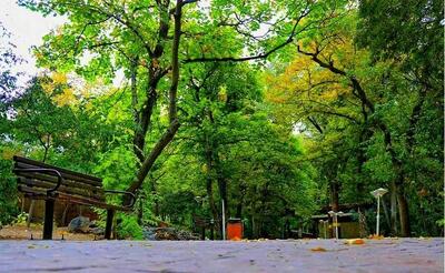 بهسازی بوستان قیطریه/ رونمایی از ماشین‌های برف‌روبی شهرداری تهران
