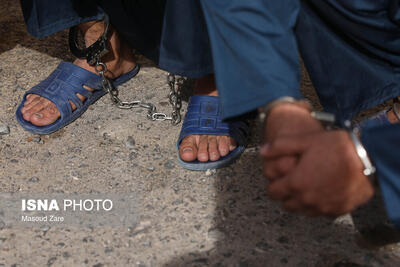  از توقیف ۶۰ دستگاه وسیله نقلیه تا دستگیری سارقان در بوئین‌زهرا