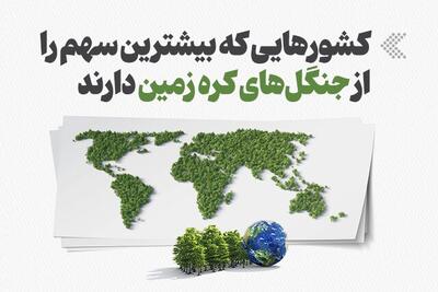  اینفوگرافیک/ کشورهایی که بیشترین سهم را از جنگل‌های کره زمین دارند