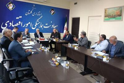  تقویت جایگاه گلستان در صنعت آرد / برنامه‌ریزی برای حضور پررنگ در بازارهای منطقه