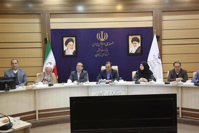  دبیر شورای مشاوران وزیران در امور ایثارگران: اجرای ناقص قوانین ایثارگران مانعی جدی در بهره‌مندی جانبازان است