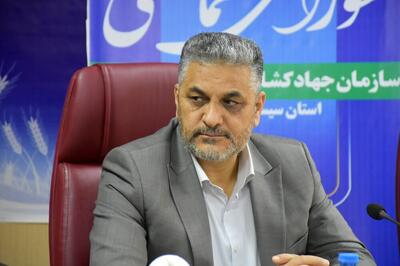  اقدام جدی علیه قاچاق دام، روغن و کالاهای اساسی در سیستان و بلوچستان