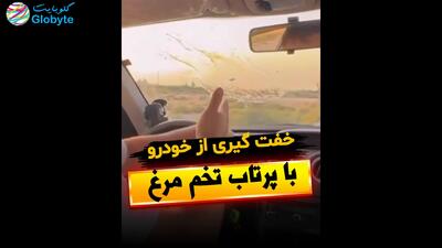  خفتگیری از خودرو با پرتاب تخم مرغ