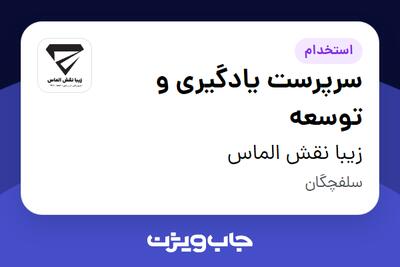  استخدام سرپرست یادگیری و توسعه در زیبا نقش الماس