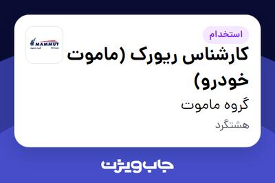  استخدام کارشناس ریورک (ماموت خودرو) در گروه ماموت