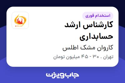  استخدام کارشناس ارشد حسابداری در کاروان مشک اطلس