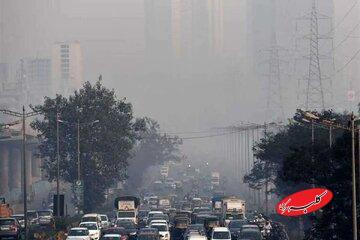  منشأ «مه‏‏‏‏‏‌دود» شهرهای شمالی چیست؟ - کلبه سرگرمی