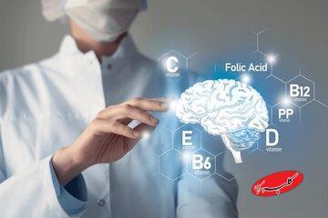  ویتامین‌ها و مکمل‌های تقویت مغز و حافظه/ این ویتامین جلوی کوچک‌شدن مغز را می‌گیرد/ با افزایش سن، مصرف این چربی را بیشتر کنید - کلبه سرگرمی