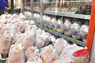  مرغ و تخم‌مرغ گران‌تر می‌شوند؟ - کلبه سرگرمی