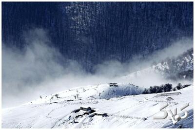  بارش دومین برف پاییزی در تهران + تصاویر - مجله اینترنتی کولاک