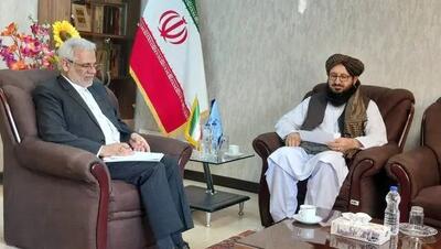  شرایط انتقال ۳۸۰ نفر از محکومین افغانستانی به کشورشان مهیا شد