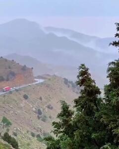  فیلم جاده دیدنی تیوان