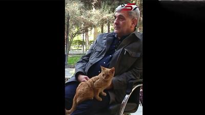  فیلم / گربه بازیگوش وسط مصاحبه با شهردار سابق تهران / گربهٔ باغ نگارستان ناگهان پرید بغل حناچی و مجری برنامه رک