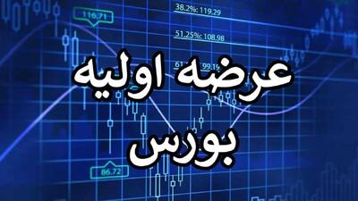  جزئیات نهمین عرضه اولیه سال 1404