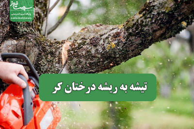  تیشه به ریشه درختان کر