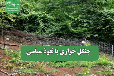  جنگل خواری با نفوذ سیاسی