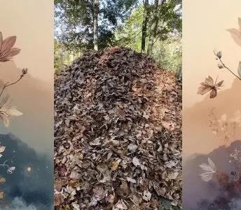  بازی فکری : سگ پنهان شده را بین برگ‌های خشک در 5 ثانیه پیدا کنید و ثابت کنید دید خلبانی دارید!