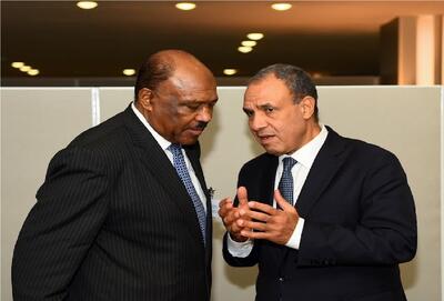  مصر خواستار آتش‌بس فراگیر و آغاز روند سیاسی در سودان شد
