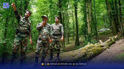  حقوق ندادند، جنگل بدون نگهبان ماند