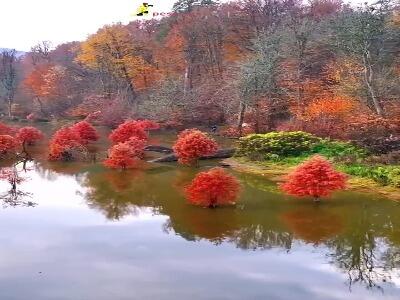  زیبایی دریاچه الندان ساری