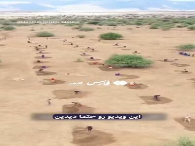  مردی که بیابان‌های فارس را سبز کرد