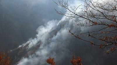  آتش‌سوزی جنگل‌های روستای الیت چالوس