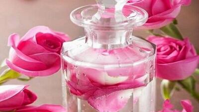  ثبت جهانی گل محمدی به نام عربستان و ترکیه