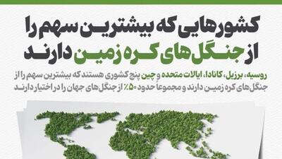  کشورهایی که بیشترین سهم را از جنگل‌های کره زمین دارند