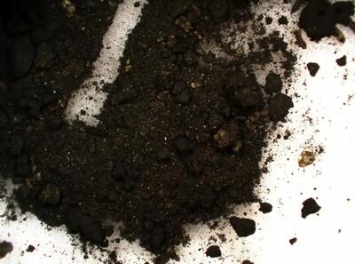  کشف دوات 2 هزارساله روم باستان و جوهر عجیبی که در آن باقی مانده است