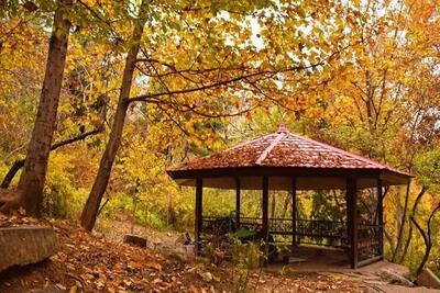  زیباترین لوکیشن‌های پاییزی برای عکاسی در اطراف تهران (فیلم)