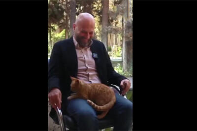  گربه‌ای که برنامه را از دست مجری درآورد!