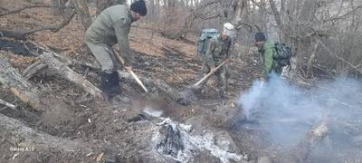  آتش‌سوزی پارک ملی گلستان مهار شد/ سوختن ۵ هکتار از منطقه