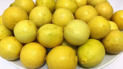  روش طبیعی برای نگهداری لیمو بدون له شدن و تلخ شدن / تا سالها لیمو تازه میماند
