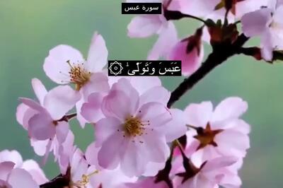  دانلود کامل سوره عبس صوتی با صدای پرهیزگار و عبدالباسط + تندخوانی