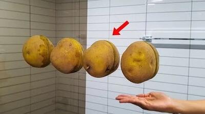  هیچ کس باورش نمی شود اما واقعاً جواب می دهد/ ۱۶ ترفند خانگی درخشان!