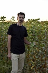  درامد ۸میلیاردی در هکتار با کاشت نهال بادام دیمی فقط ۳۰هزار تومن