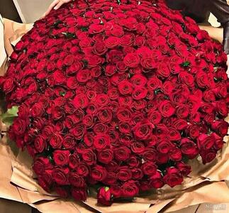  نمایش جدید تازه به دوران رسیده‌ها