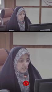  ادعای شوکه‌کننده عضو شورای شهر کرمان: آمریکا و اسرائیل و ناتو در آسمان کرمان، گاز سمی پخش کرده‌اند و ...