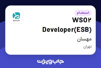  استخدام WSO2 Developer(ESB) در مهسان