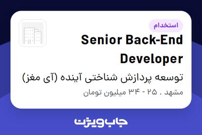  استخدام Senior Back-End Developer در توسعه پردازش شناختی آینده (آی مغز)
