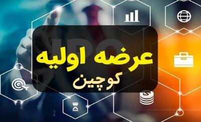  عرضه اولیه کوچین چقدر نقدینگی می‌خواهد؟ | قیمت سهام کوچین
