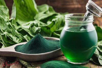  رونمایی از محصولات آرایشی و بهداشتی مبتنی بر جلبک‌ خلیج فارس