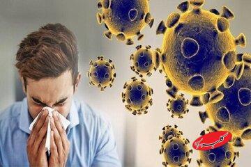  کرونای تیغی چقدر خطرناک است؟/ علائم این بیماری - کلبه سرگرمی