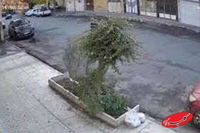  ببینید | انجام حرکات نمایشی با موتور در خیابان؛ تصادف و بعد فرار - کلبه سرگرمی