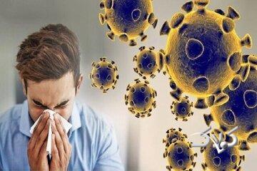  کرونای تیغی چقدر خطرناک است؟/ علائم این بیماری - مجله اینترنتی کولاک