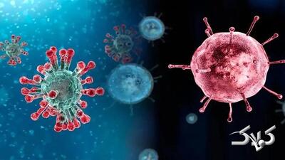  افزایش موارد ابتلا به آنفلوآنزا در این شهر - مجله اینترنتی کولاک