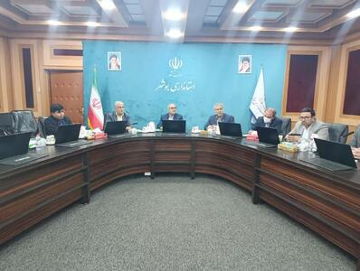  معاون استاندار بوشهر: کشتارگاه‌های دام استان ساماندهی شوند
