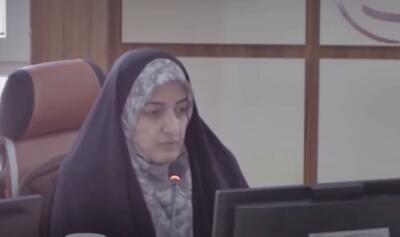  عضو شورای شهر کرمان: روز شنبه در آسمان کرمان کمتریل و گاز سمی پخش کرده‌اند